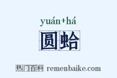 圆蛤是什么意思的图片